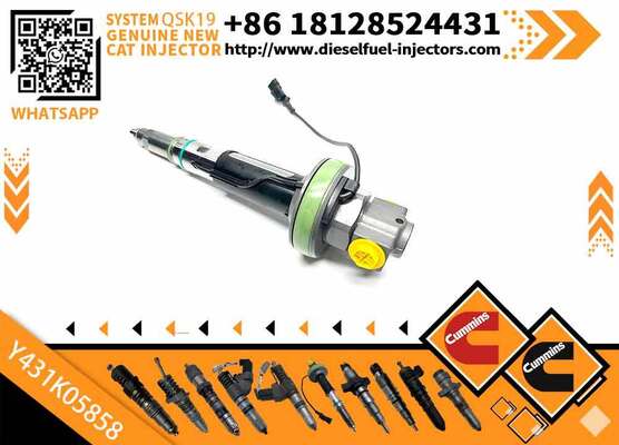 Common Rail Fuel Injector 4380191 Y431K05858 for