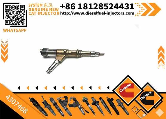 ommon Rail Fuel Injector 4307475 5491515 4307468 for