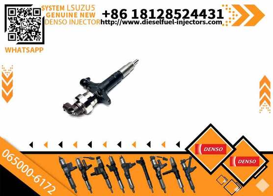 Injector 0650006172 8980558632 065000-6172 8-98055863-2 Common Rail Diesel