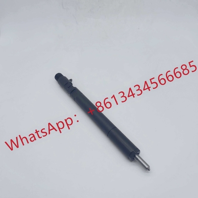 Delphi Diesel Fuel Injectors factory, Buy good quality Delphi Diesel ...