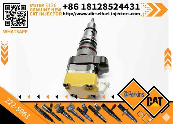 Excavator Parts 3126 Engine Injector 111-7916 177-4753 138-8756 222-5963 222-5972fuel Injector for Excavator