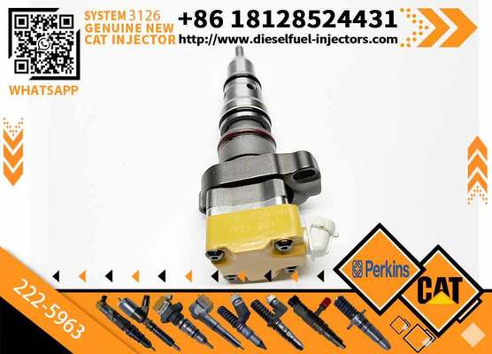 Excavator Parts 3126 Engine Injector 111-7916 177-4753 138-8756 222-5963 222-5972fuel Injector for Excavator