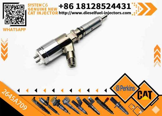 Excavator Parts C6 Engine Injector 320-0680 2645A709 295-9130 382-0480 282-0490 Fuel Injector for Excavator