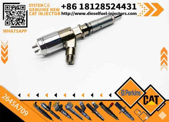 Excavator Parts C6 Engine Injector 320-0680 2645A709 295-9130 382-0480 282-0490 Fuel Injector for Excavator