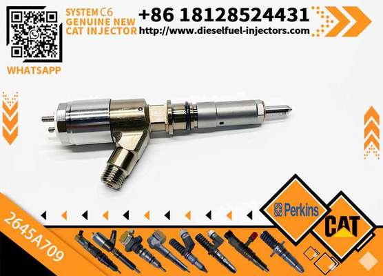 Excavator Parts C6 Engine Injector 320-0680 2645A709 295-9130 382-0480 282-0490 Fuel Injector for Excavator