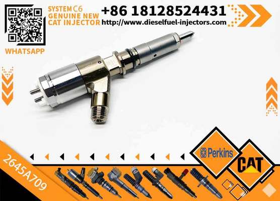 Excavator Parts C6 Engine Injector 320-0680 2645A709 295-9130 382-0480 282-0490 Fuel Injector for Excavator