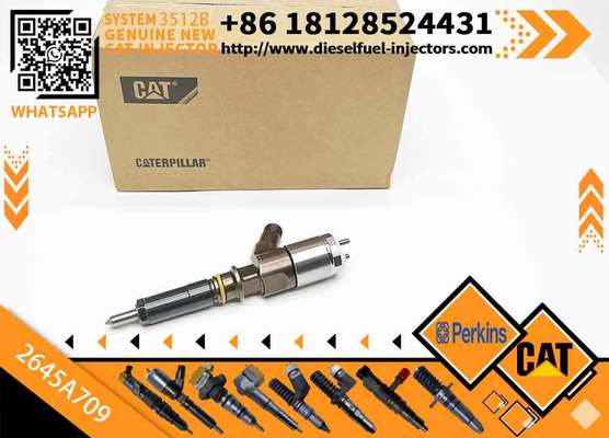 Fuel Injector 282-0490 2820490 2645A709 for Ca-ter-pillar Per-kins C6 C6.6 1106D-E66TA Engine Excavator
