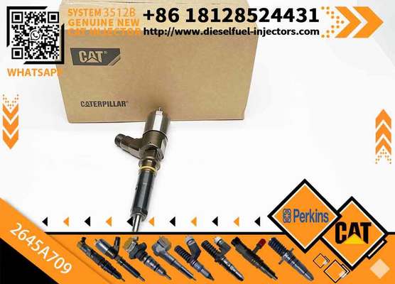 Fuel Injector 282-0490 2820490 2645A709 for Ca-ter-pillar Per-kins C6 C6.6 1106D-E66TA Engine Excavator