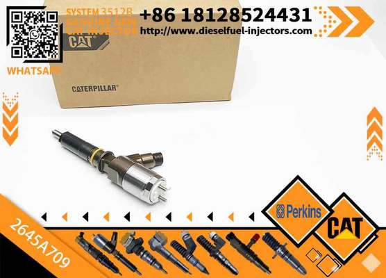 Fuel Injector 282-0490 2820490 2645A709 for Ca-ter-pillar Per-kins C6 C6.6 1106D-E66TA Engine Excavator
