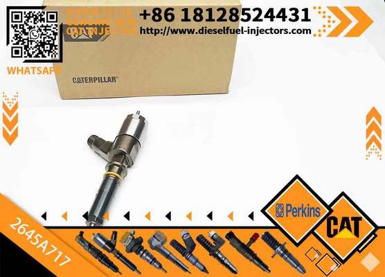 New Diesel Common Rail Fuel Injector 317-2300 3172300 2645A717 for C4/C6 engine in stock
