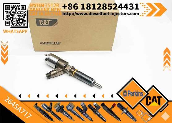 New Diesel Common Rail Fuel Injector 317-2300 3172300 2645A717 for C4/C6 engine in stock