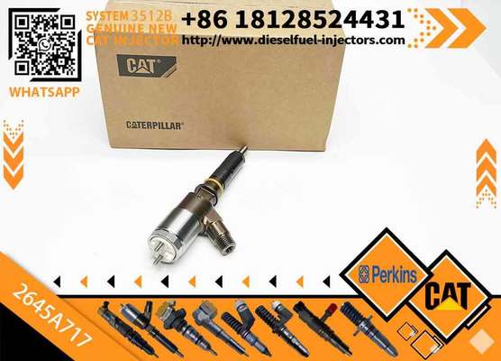 New Diesel Common Rail Fuel Injector 317-2300 3172300 2645A717 for C4/C6 engine in stock