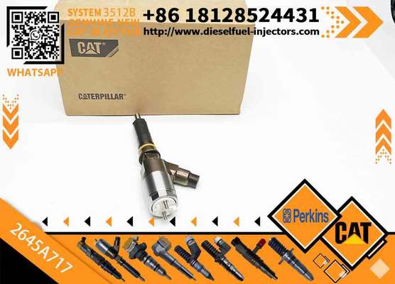 New Diesel Common Rail Fuel Injector 317-2300 3172300 2645A717 for C4/C6 engine in stock