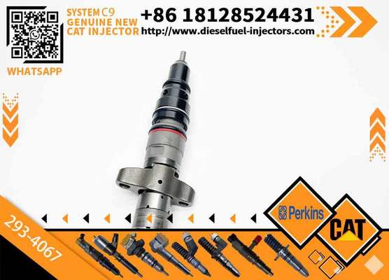328-2574 3879433 387-9433 245-3517 245-3518 293-4067 293-4071 Diesel Engine Fuel Injector For Caterpillar C9 330 E330D