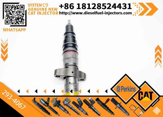 328-2574 3879433 387-9433 245-3517 245-3518 293-4067 293-4071 Diesel Engine Fuel Injector For Caterpillar C9 330 E330D