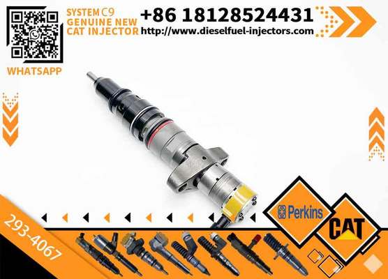328-2574 3879433 387-9433 245-3517 245-3518 293-4067 293-4071 Diesel Engine Fuel Injector For Caterpillar C9 330 E330D
