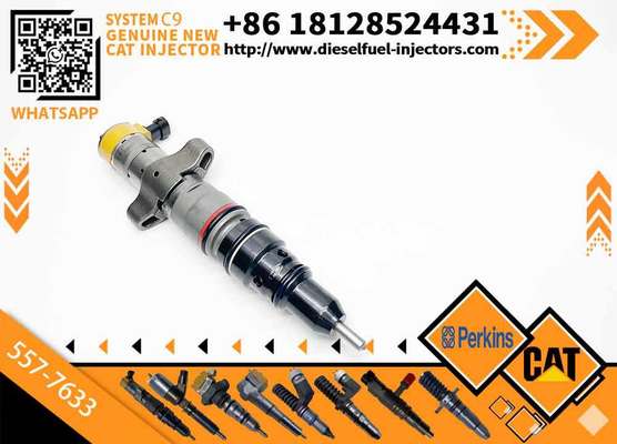 20r-8064 20r8064 20r-8968 20r8968 5577633 557-7633 3879433 387-9433 Fuel Injector 330d 336d D6R C9 Engine for Caterpillar