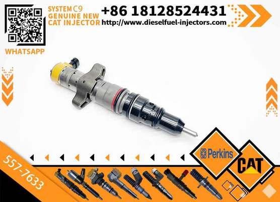 20r-8064 20r8064 20r-8968 20r8968 5577633 557-7633 3879433 387-9433 Fuel Injector 330d 336d D6R C9 Engine for Caterpillar
