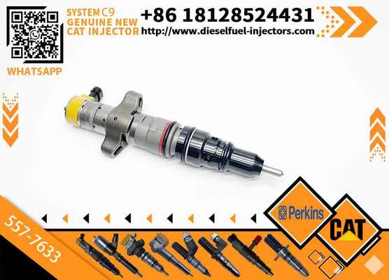 20r-8064 20r8064 20r-8968 20r8968 5577633 557-7633 3879433 387-9433 Fuel Injector 330d 336d D6R C9 Engine for Caterpillar