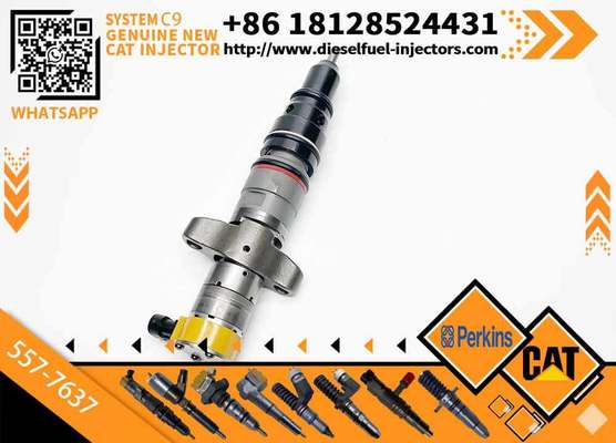Hot Sale C9 Injector 387-9433 87-9437 254-4339 557-7637 C9 5 266-4446 328-2573 10R-7222 20R-8064 for CAAT C9 Diesel Engine