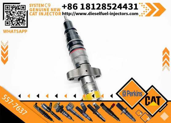 Hot Sale C9 Injector 387-9433 87-9437 254-4339 557-7637 C9 5 266-4446 328-2573 10R-7222 20R-8064 for CAAT C9 Diesel Engine