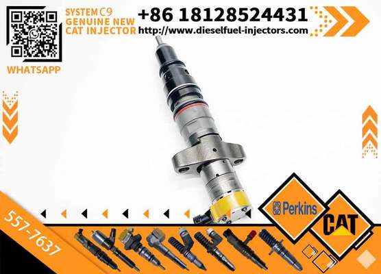 Hot Sale C9 Injector 387-9433 87-9437 254-4339 557-7637 C9 5 266-4446 328-2573 10R-7222 20R-8064 for CAAT C9 Diesel Engine