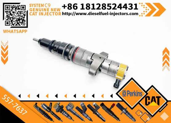 Hot Sale C9 Injector 387-9433 87-9437 254-4339 557-7637 C9 5 266-4446 328-2573 10R-7222 20R-8064 for CAAT C9 Diesel Engine