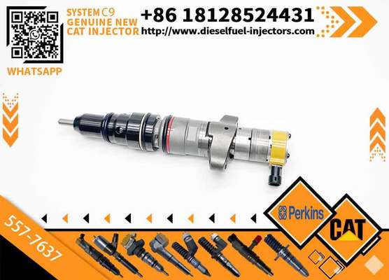 Hot Sale C9 Injector 387-9433 87-9437 254-4339 557-7637 C9 5 266-4446 328-2573 10R-7222 20R-8064 for CAAT C9 Diesel Engine