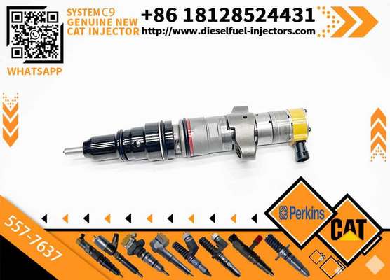 Hot Sale C9 Injector 387-9433 87-9437 254-4339 557-7637 C9 5 266-4446 328-2573 10R-7222 20R-8064 for CAAT C9 Diesel Engine