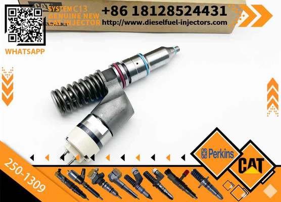 Inyectores Common Rail Diesel Fuel Injector 2501309 250-1309 10R3258 10R-3258 for Caterpillar Cat C13