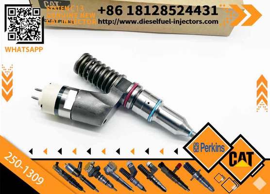Inyectores Common Rail Diesel Fuel Injector 2501309 250-1309 10R3258 10R-3258 for Caterpillar Cat C13
