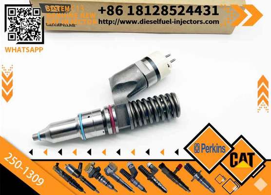 Inyectores Common Rail Diesel Fuel Injector 2501309 250-1309 10R3258 10R-3258 for Caterpillar Cat C13