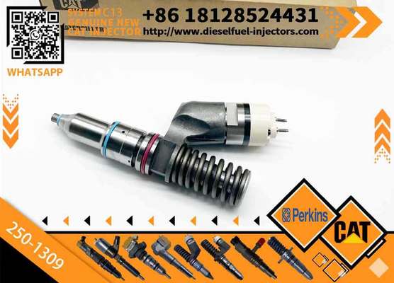 Inyectores Common Rail Diesel Fuel Injector 2501309 250-1309 10R3258 10R-3258 for Caterpillar Cat C13