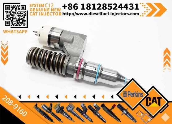 Excavator Accessories Fuel Injector 208-9160 116-8899 for CAT C10 C11 C12 C13 for Construction Machinery