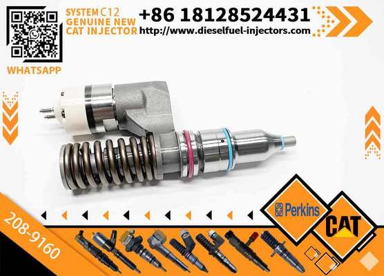 Excavator Accessories Fuel Injector 208-9160 116-8899 for CAT C10 C11 C12 C13 for Construction Machinery