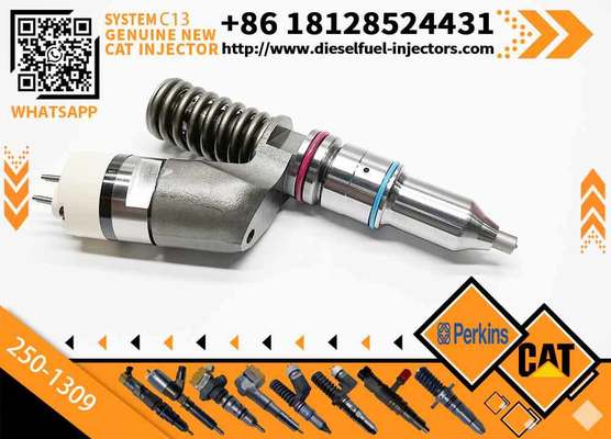 Excavator Inyectores Common Rail Diesel Fuel Injector 2501309 250-1309 10R3258 10R-3258 for Cat-erpillar Cat C13