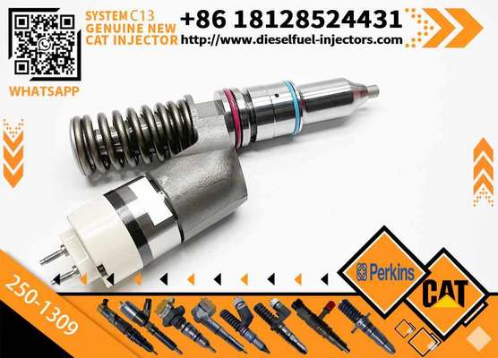 Excavator Inyectores Common Rail Diesel Fuel Injector 2501309 250-1309 10R3258 10R-3258 for Cat-erpillar Cat C13