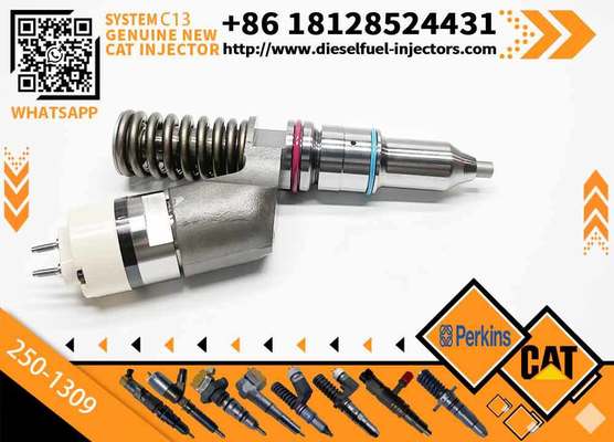 Excavator Inyectores Common Rail Diesel Fuel Injector 2501309 250-1309 10R3258 10R-3258 for Cat-erpillar Cat C13