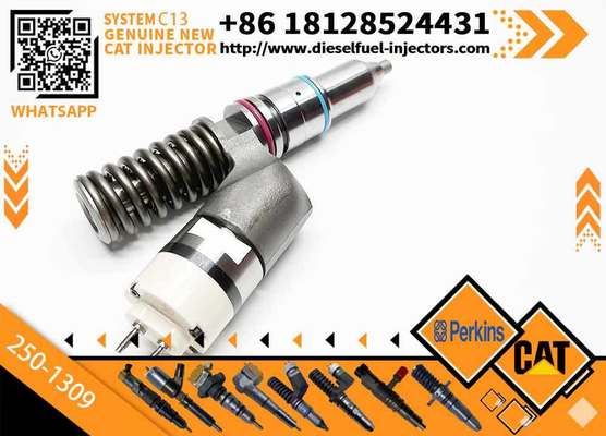 Excavator Inyectores Common Rail Diesel Fuel Injector 2501309 250-1309 10R3258 10R-3258 for Cat-erpillar Cat C13
