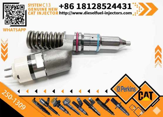 Excavator Inyectores Common Rail Diesel Fuel Injector 2501309 250-1309 10R3258 10R-3258 for Cat-erpillar Cat C13