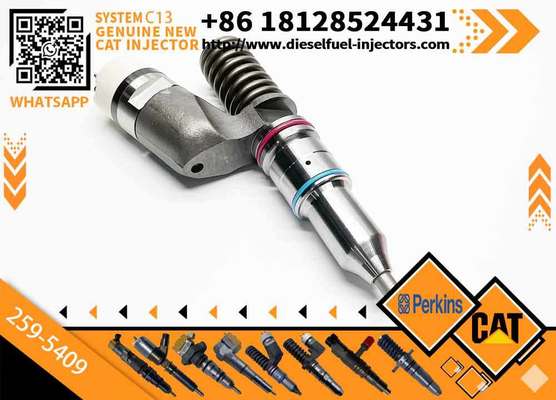 Factory direct C13 engine common rail fuel injector 294-3002 10R-6162 253-0608 259-5409 Caterpillar C13 injector