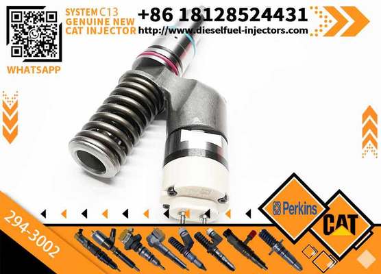 C13 C11 Fuel Injector 249-0713 294-3002 349-0705 249-0708 for 345C 345D Excavator Parts 10R3262 10R2977 10R7636 10R6162