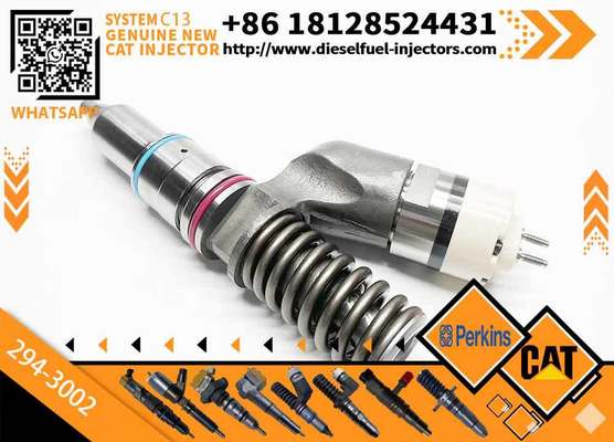 C13 C11 Fuel Injector 249-0713 294-3002 349-0705 249-0708 for 345C 345D Excavator Parts 10R3262 10R2977 10R7636 10R6162