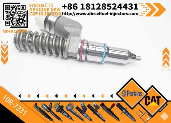 Diesel Fuel Injector 276-8307 10R-7231 230-3775 for Cat-erpillar C18/C32 Common Rail Injection Valves