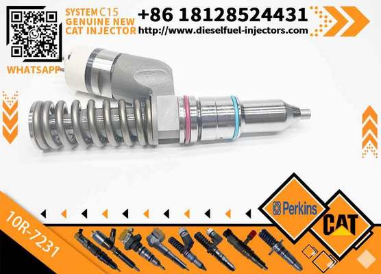 Diesel Fuel Injector 276-8307 10R-7231 230-3775 for Cat-erpillar C18/C32 Common Rail Injection Valves