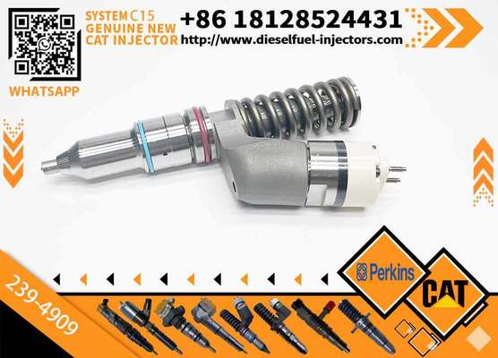 Fuel Injector 10R-1273 10R1273 10R-9236 249-0709 10R-8501 10R8501 10R1273 10R9236 239-4909 for Caterpillar Cat C15 C16 C18 3406E