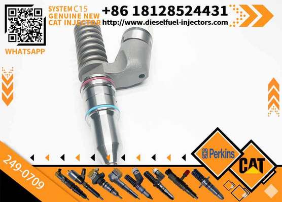 Fuel Injector 10R-1273 10R1273 10R-9236 249-0709 10R-8501 10R8501 10R1273 10R9236 239-4909 for Caterpillar Cat C15 C16 C18 3406E