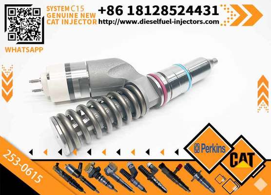 Injector C15 C18 253-0615 253-0618 374-0750 374-0751 294-3002 211-3028 for Cat Injector Nozzles in Construction Machinery