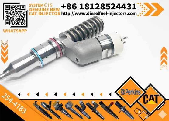 Applies to CAT C15 ENGINE 2244-7716 249-0709 253-0614 253-0615 253-0617 254-4183 Fuel Injectors