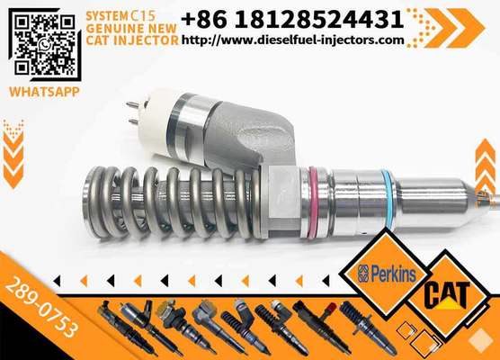 New Common Rail Fuel Injector 10R-8502 211-3025 253-0614 289-0753 for C15 Diesel Engine